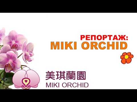 Видео: орхидеи фермы MIKI ORCHID пять самых интересных фактов !