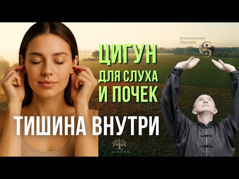 Видео: Тишина внутри | Цигун для слуха и почек💫 Почувствуй тишину. Услышь себя.