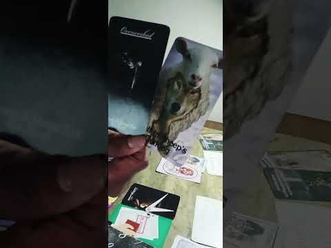 Видео: Wnted Power of this Jackpot💰🤑 просто 4 из них 2👀прокладывают себе путь вниз 2в полицейский участо...