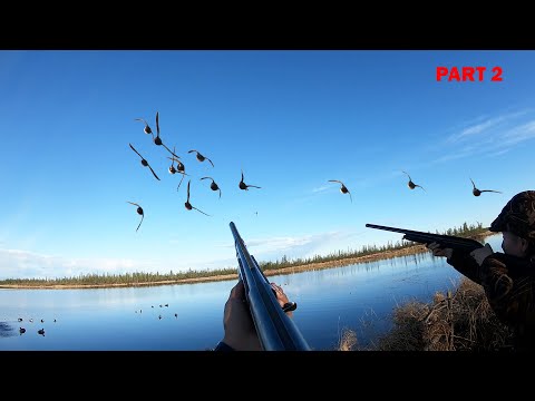 Видео: ОХОТА НА ТУРПАНА НА КОЛЫМЕ 2022. 2 СЕРИЯ