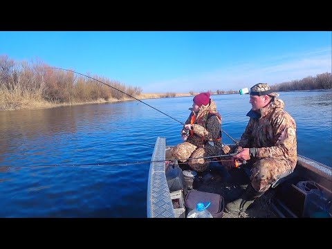 Видео: ЭТУ РЫБАЛКУ ЖДАЛИ ГОД. Река открылась, весна пришла! На рыбалку с женой, ловля на донку.