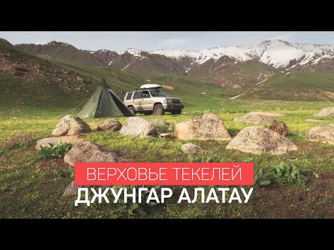 Видео: Верховье Текели. Река Ойсаз. Джунгар Алатау. Казахстан.