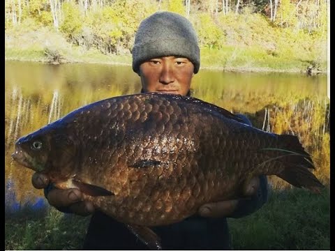 Видео: Готовим таких Якутских карасиков! ЭКСКЛЮЗИВ