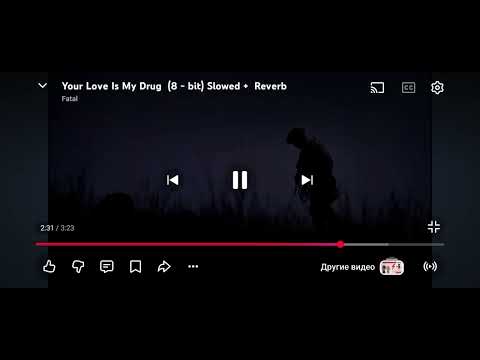 Видео: 11 ноября 2025 г.