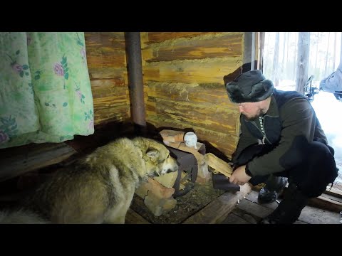 Видео: Что скрывает озеро на болоте? Осторожно это может изменить ваше мнение о рыбалке. Рыбалка на жерлицы