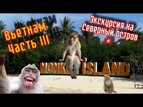 Видео: Остров обезьян // Северный остров // Вьетнам // VLOG