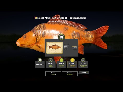 Видео: ВСЕ ТОЧКИ С ФАРМОМ НА НОВУЮ НАЖИВКУ НА МЕДНОМ ЛОЛОСЬ НА АХТУБЕ И РЕДКИЕ НА ЯНТАРКЕ В РУССКОЙ РЫБАЛКЕ