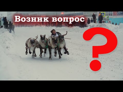 Видео: Олений вопрос: Нужно ли проводить этот праздник на центральной улице города?