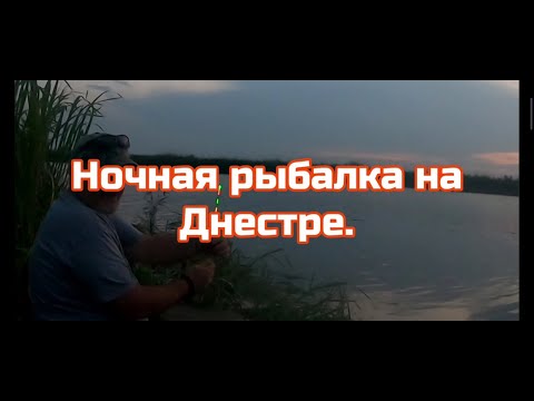 Видео: Ночная рыбалка на карпа р.Днестр ,Старый порт ,база Белуга