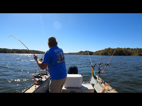 Видео: Как поймать синего сома в условиях низкой воды | Ловля сома в условиях засухи на озере Лэй
