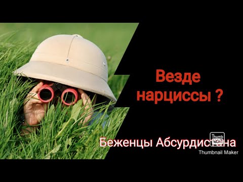 Видео: Везде мерещатся нарциссы?