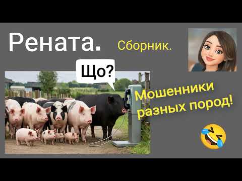 Видео: Рената. 🔥 Що?! Мошенники разных пород, сборник разговоров. 🤣