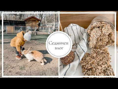 Видео: Седмичен влог: Храним зайчетата + рецепта за вкусни крекери от семена