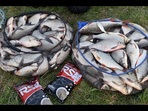 Видео: Рыбалка на фидер в Литве