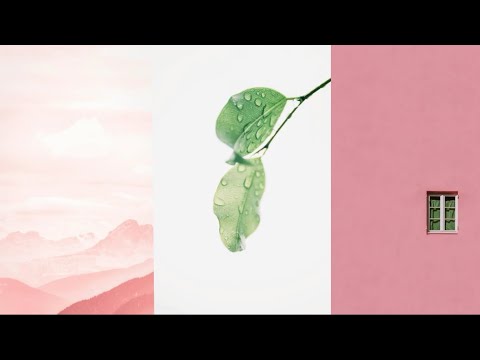 Видео: Выберите карту ✂️ Как они себя чувствуют теперь, после того как вы их отрезали?