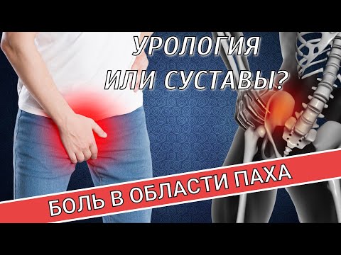 Видео: БОЛЬ В ОБЛАСТИ ПАХА: УРОЛОГИЯ ИЛИ СУСТАВЫ?