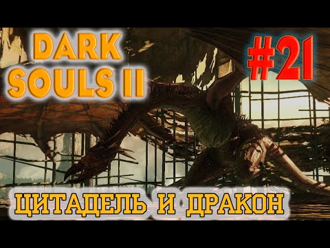 Видео: Dark Souls 2 Scholar Of The First Sin №21. Цитадель и Курица