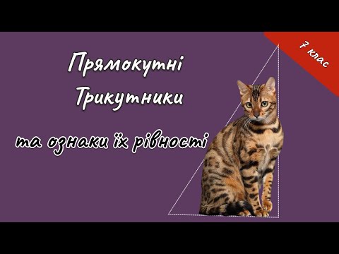 Видео: 7 клас - Прямокутні трикутники