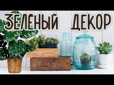 Видео: ЦВЕТЫ в интерьере: идеи для разных стилей