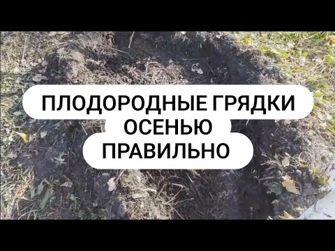 Видео: Как сделать почву Живой  плодородной Биогумус