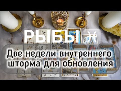 Видео: Рыбы ♓️ таро и гороскоп с 13 по 26 октября 2025