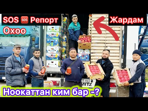 Видео: СРОЧНО ‼️ МОСКВА БААРЫ КОРСУН-20 тонна Келди КЫРГЫЗСТАНДАН#рекомендации