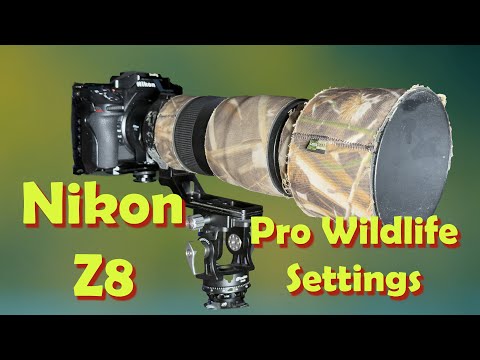 Видео: Профессиональные настройки дикой природы Nikon Z8 — используйте все возможности Nikon Z8