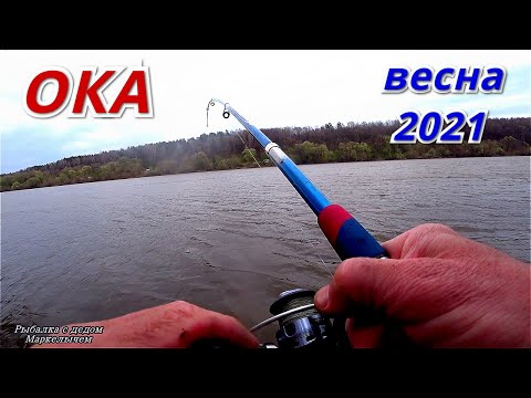 Видео: И даже ЖЕРЕХ! Весенняя рыбалка на ОКЕ  2021.