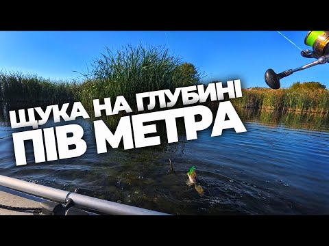 Видео: ЩУКА у ВЕРШИНІ ВОДОСХОВИЩА. РИБАЛКА на ЩУКУ по МІЛЯКАМ.