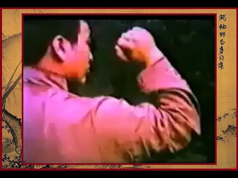 Видео: СТАРЫЙ ОБЗОРНЫЙ ФИЛЬМ БАГУАЧЖАН ЛАДОНЬ ВОСЬМИ ТРИГРАММ (八卦掌  / с комментариями Владимира Амиды)