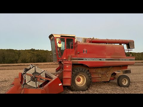 Видео: УРОЖАЙ СОИ 2025 ГОДА