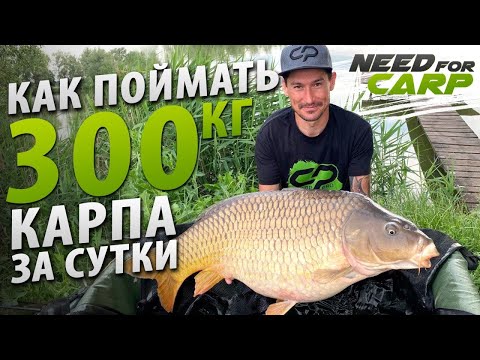 Видео: Как поймать 300кг карпа за сутки. Вовкове Озеро