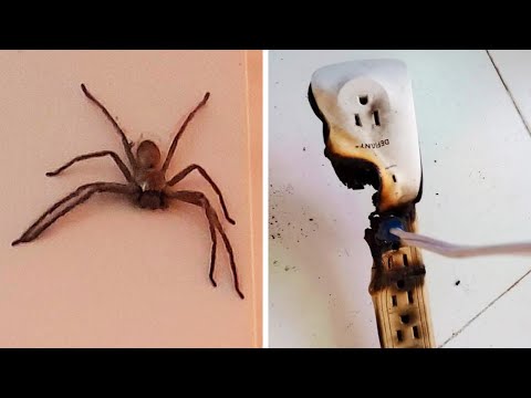 Видео: Фото  которые тебя удивят (часть 163)