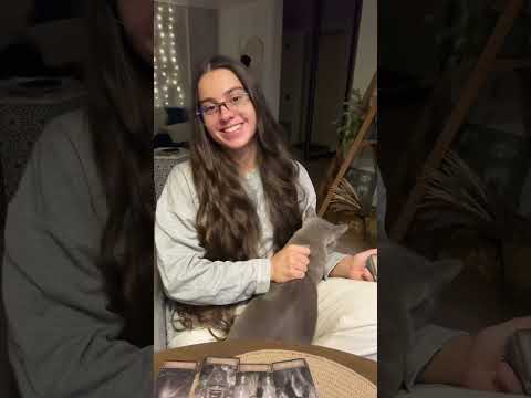 Видео: Энергии ноября 💖#таро #таромастер #тароонлайн #таролог #тарологпроводник #любовьксебе #tarot #любовь