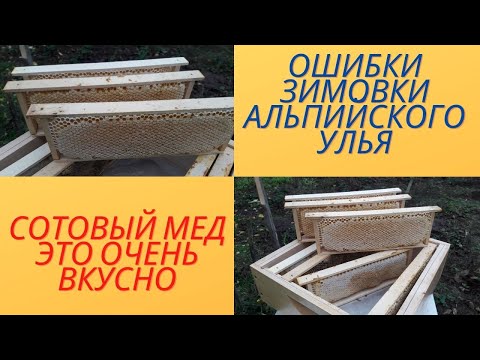Видео: Альпийский улей. Зимовка.