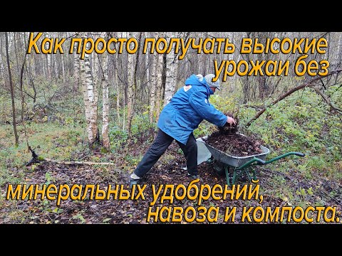 Видео: Как получать высокие урожаи без минеральных удобрений, навоза и компоста.