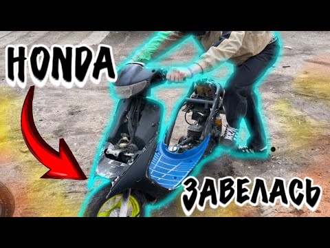 Видео: 🤝 ПЕРЕПРОДАЖА / ЗАВЕЛ СКУТЕР HONDA.