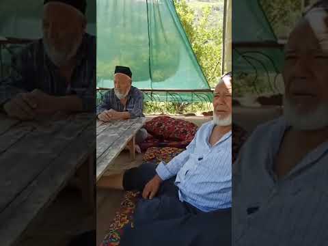 Видео: 26 октября 2025 г.