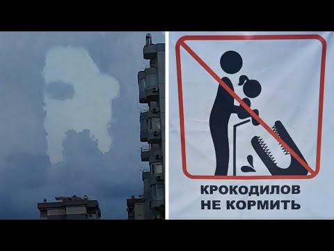 Видео: Фото подписчиков Фактории (82 часть)