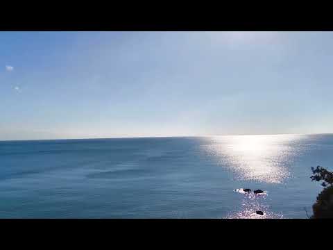 Видео: Варна, морето, сините вълни