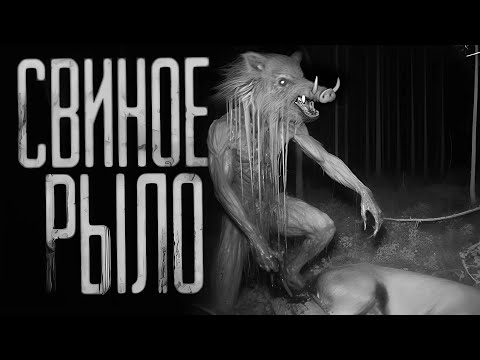 Видео: СВИНОЕ РЫЛО ...Страшные истории на ночь. Страшилки на ночь.