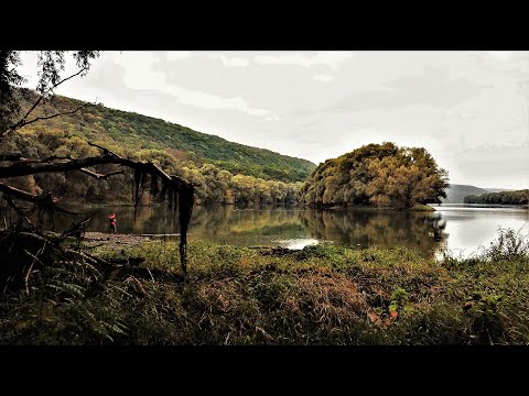 Видео: Самый красивый лес в Молдове ? Мини Карпаты Молдовы. Нереально крутой хайкинг. Днестр.