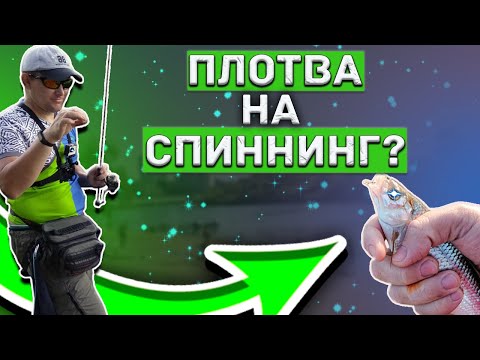 Видео: Dayo Prestige 0.2 - 0.8 гр. 1.98. | МОРМЫШИНГ