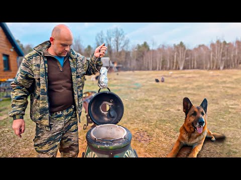 Видео: ДЕРЕВЕНСКИЙ БЫТ в лесу без соседей. СЧАСТЛИВЫЕ ЖИВОТНЫЕ,  посадка огорода, галенка в тандыре.🌳🐾