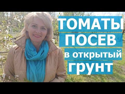 Видео: .Как сажать помидоры. Как сеять помидоры в открытый грунт. Посев томатов сразу в грунт