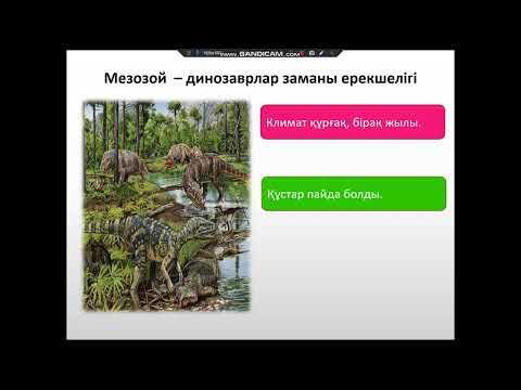 Видео: Жер бетінде тіршілік қалыптасу кезеңдері