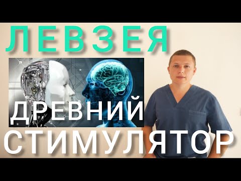 Видео: ЛЕВЗЕЯ l МЫШЦЫ И МОЗГ l ДРЕВНИЙ СТИМУЛЯТОР l Leuzea - ​​Muscle and Brain Stimulation