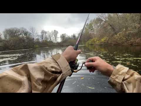 Видео: Ловля щуки  з берега #риболовля #рибалка #щука #ловлящуки #спінінг #щуказберега #рибалканащуку