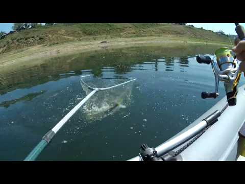 Видео: Ловля щуки на Ангаре