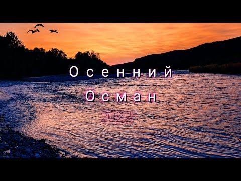 Видео: За Османом на Каратал